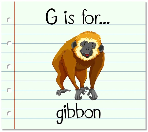 แฟลชการ์ดตัวอักษร G ใช้สําหรับกิบบอน — ภาพเวกเตอร์สต็อก
