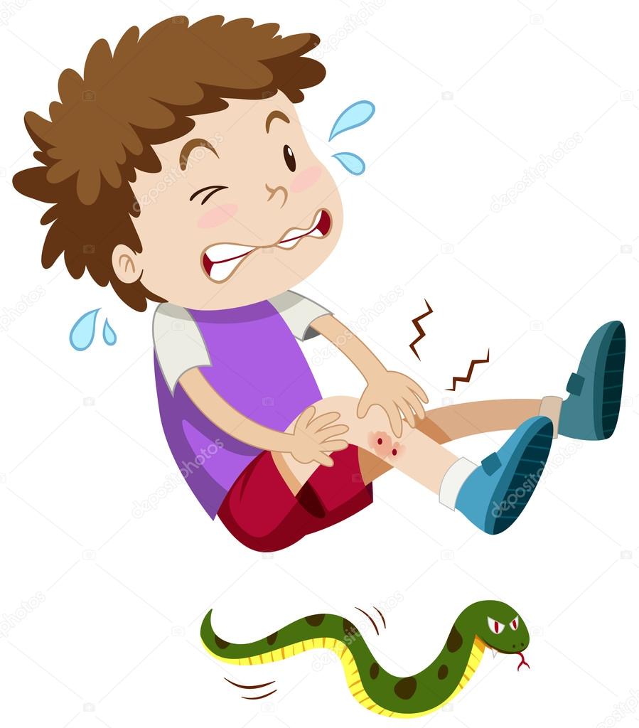 Chico fue mordido por serpiente 2022