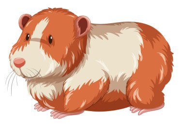 Mutlu yüz ile tüylü hamster