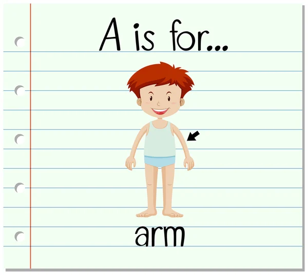 Flashcard bokstaven A är för arm — Stock vektor