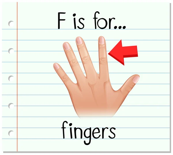 Flashcard letter F is for fingers — Stock Vector