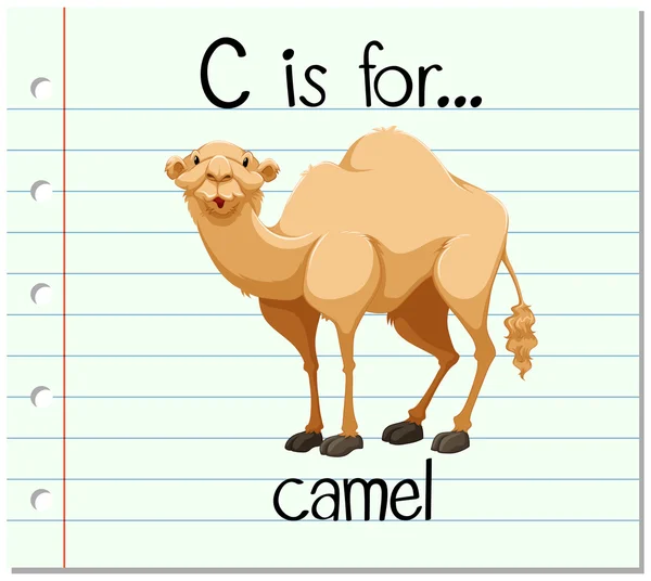 Flashcard letter C is for camel — Stock Vector