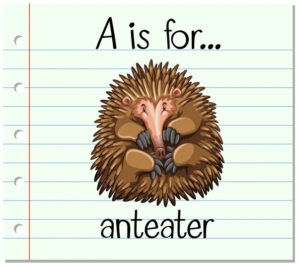 Flashcard bokstaven A är för anteater — Stock vektor