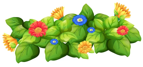 Hojas verdes con flores de colores — Vector de stock