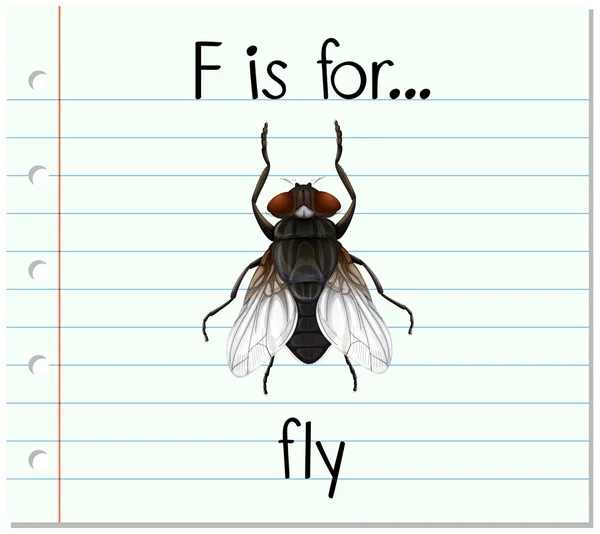 Flashcard brief F is voor fly — Stockvector