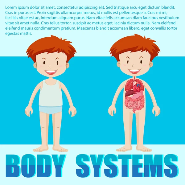 Sistemas corporales de niño — Vector de stock