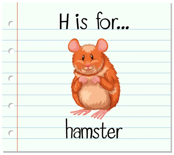 Flashcard letra H es para hámster — Archivo Imágenes Vectoriales