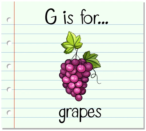 La letra G de Flashcard es para uvas — Vector de stock