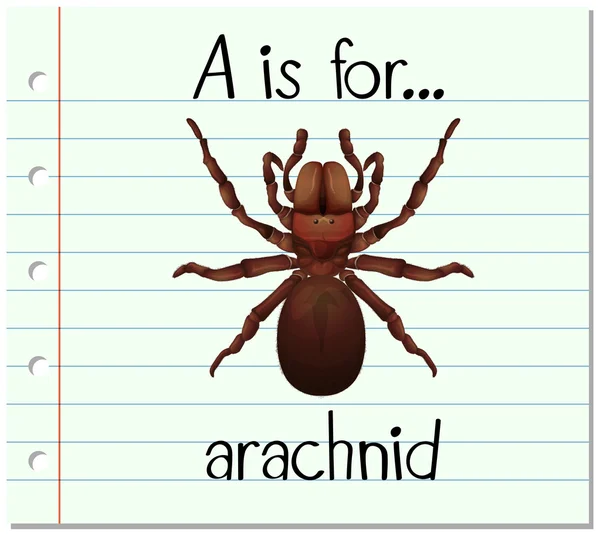 Flashcard lettre A est pour arachnide — Image vectorielle