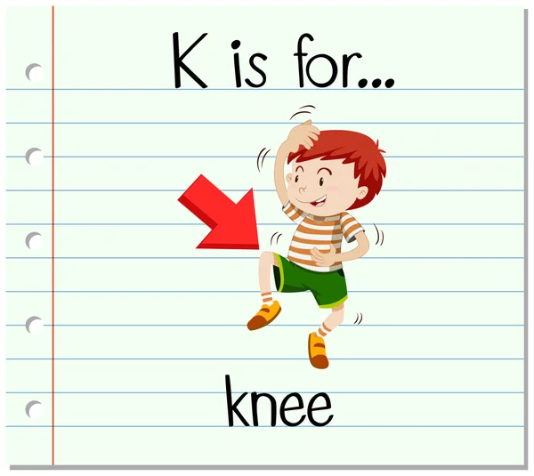 Flashcard bokstaven K är för knä — Stock vektor