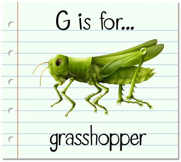 Flashcard letter G is for grasshopper — Stock Vector