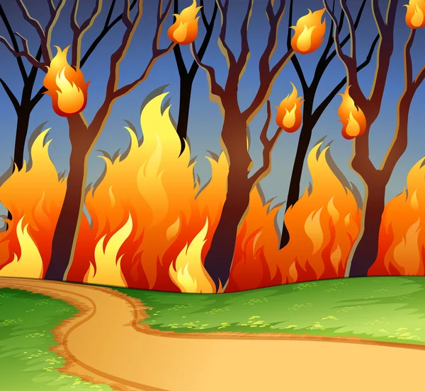 Fuego salvaje en el bosque — Archivo Imágenes Vectoriales