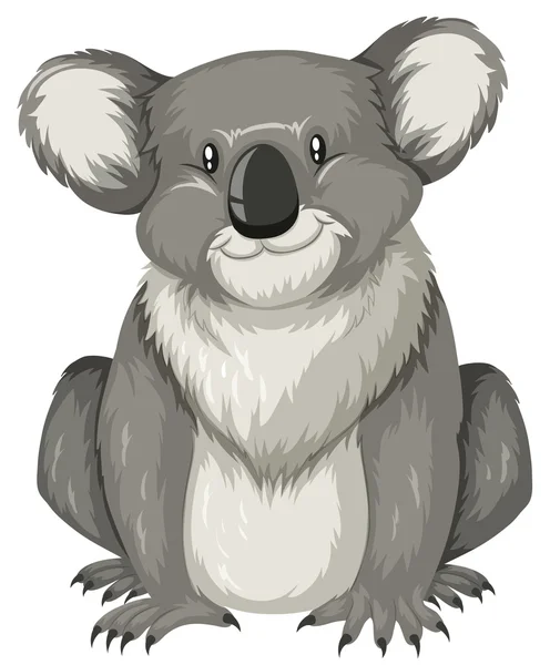 Lindo koala sentado solo — Archivo Imágenes Vectoriales