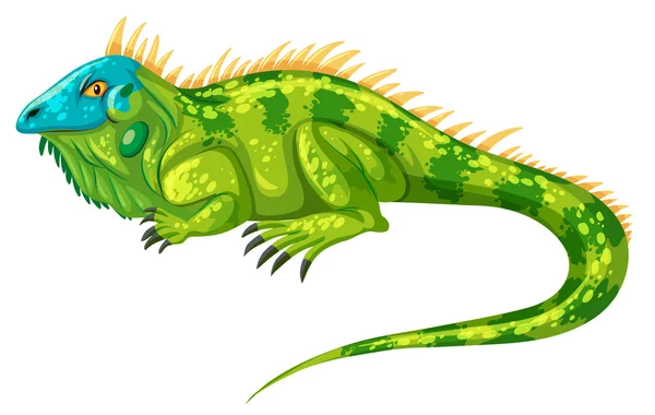 Yeşil iguana yalnız tarama — Stok Vektör