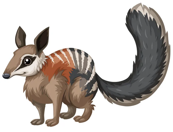 Salvaje numbat con cara feliz — Vector de stock