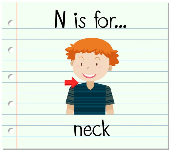 抽认卡字母 N 是颈部 — 图库矢量图片