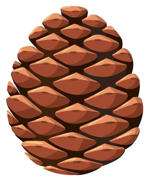 Close up of pine cone — Stock Vector