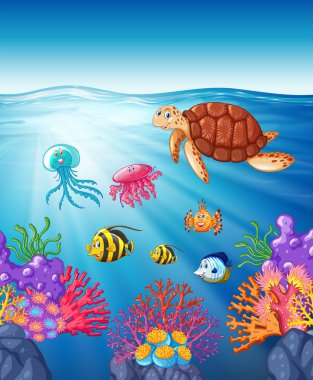 Kaplumbağa ve su altında balık Yüzme