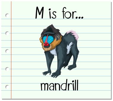 Flashcard M Mandrill'di için harftir