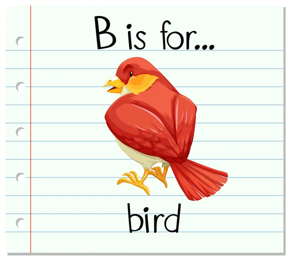 Kartičky písmeno B je pro ptáka — Stockový vektor