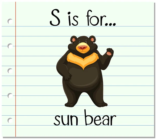 La letra S de la tarjeta es para el oso sol — Vector de stock