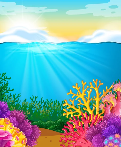 Coral reef onder de zee — Stockvector