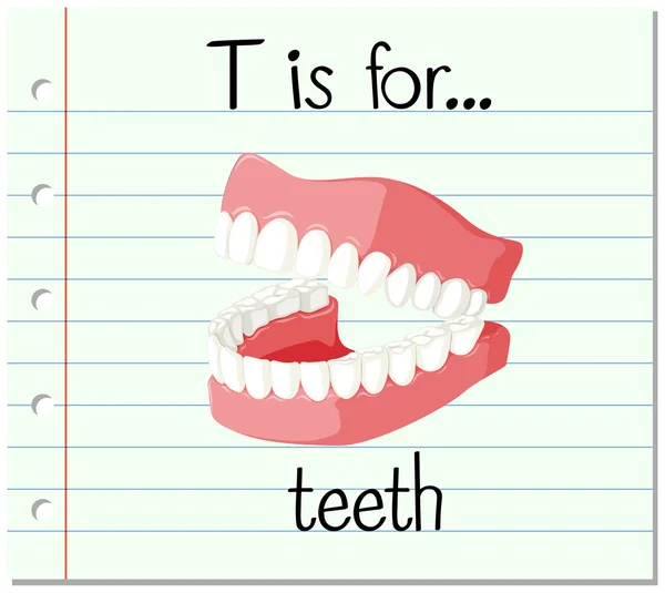 Flashcard lettera T è per i denti — Vettoriale Stock