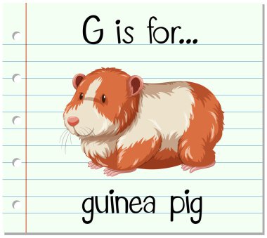 Flashcard letter G is for guinea pig clipart