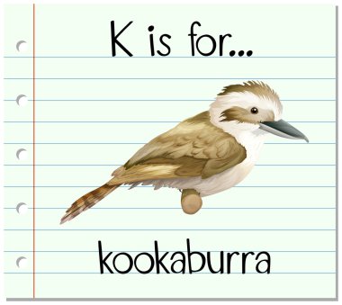 Flashcard K ahmak için harftir