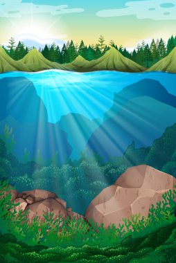 Deniz ve sualtı sahne