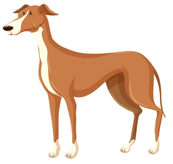 Собака с коричневым мехом — стоковый вектор