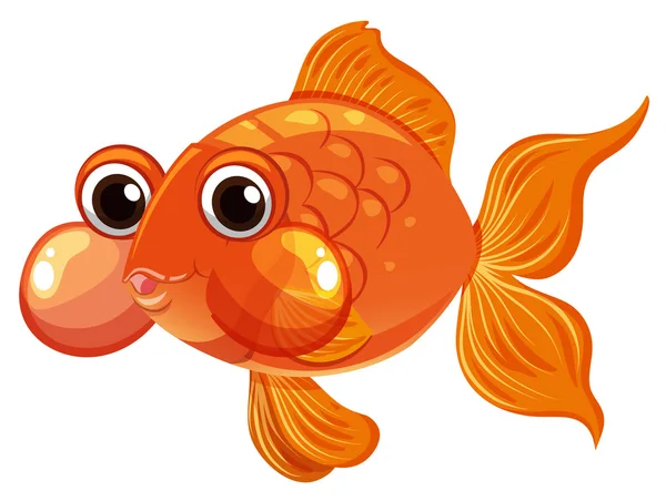 Goldfish swimming on white background — Stock Vector