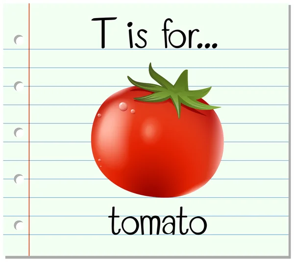 Flashcard letter T is for tomato — Stock Vector