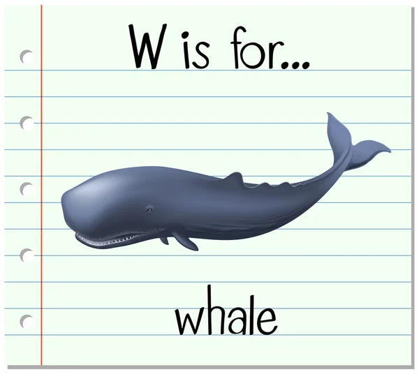 Flashcard letter W is for whale — Stock Vector