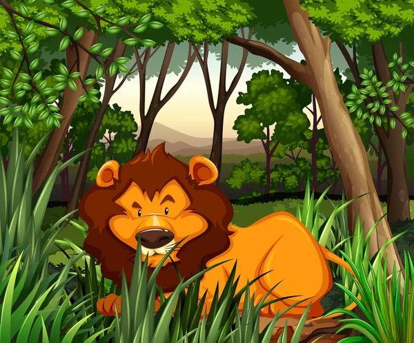 Лев, живущий в темном лесу — стоковый вектор