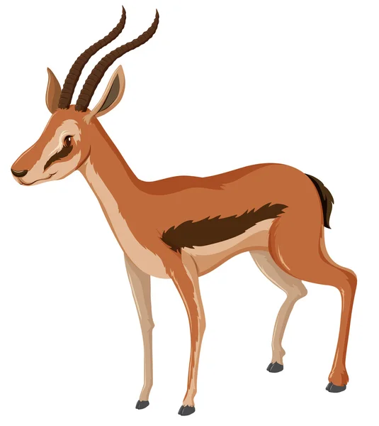 Antelope with sharp horns — Stock Vector