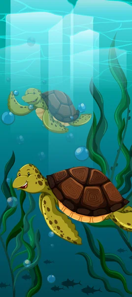 Two turtles swimming under the sea — Stock Vector