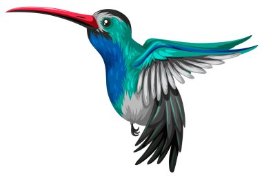 Beyaz arka plan üzerinde uçan Humingbird