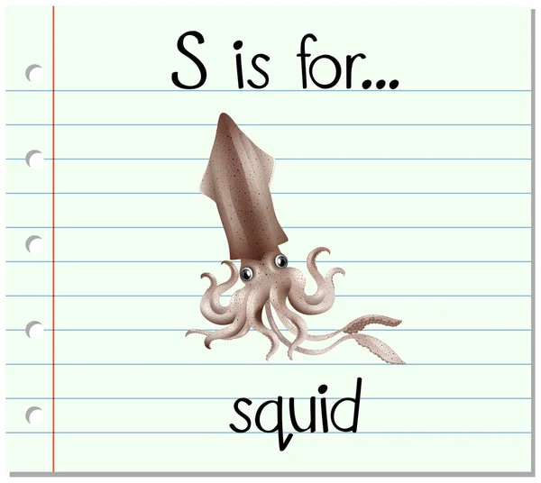 Flashcard letter S is for squid — Stock Vector