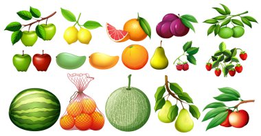 Farklı tür bir meyve