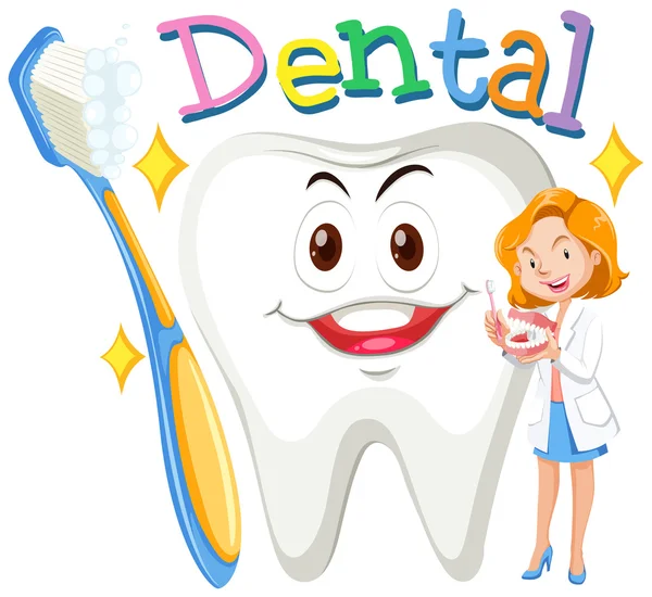 Kobieta dentysty z czystych zębów — Wektor stockowy
