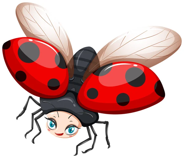 Ladybug flying on white background — Stock Vector
