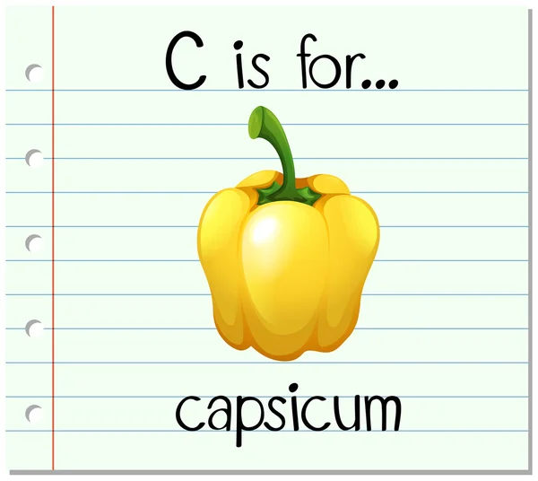 Flashcard bokstaven C är för capsicum — Stock vektor