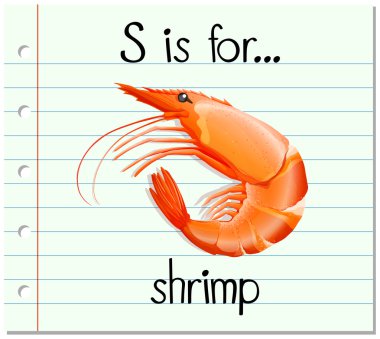 Flashcard S karides için harftir