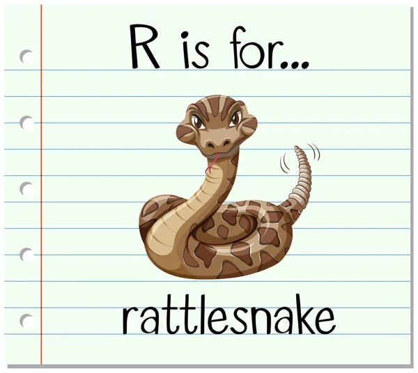 Tanulókártya R betű van a csörgőkígyó — Stock Vector