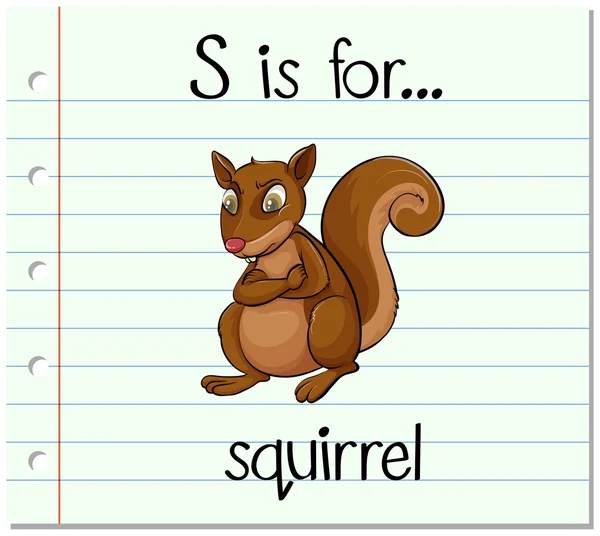 Flashcard letter S is for squirrel — Stock Vector