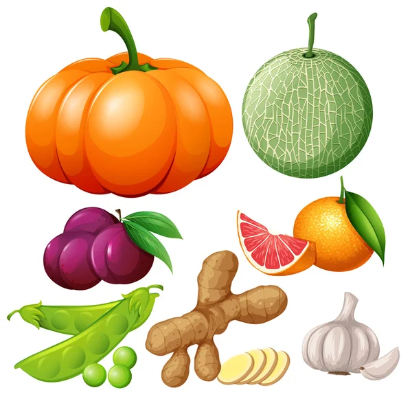 Fresh fruits and vegetables — Stock Vector