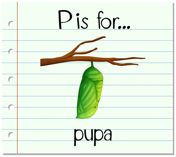 Flashcard bokstaven P är för puppa — Stock vektor