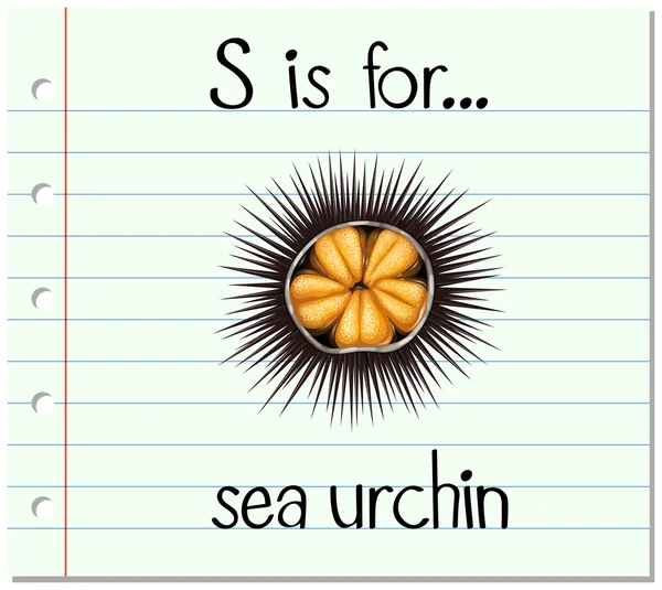 Flashcard letra S es para erizo de mar — Vector de stock