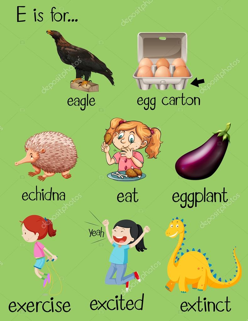Poster Letter E And Different Words Stock Vector Poster Letter E And Different Words Stock Vector
